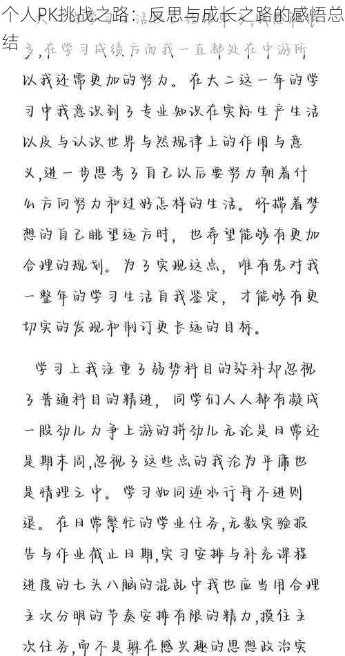 个人PK挑战之路:反思与成长之路的感悟总结