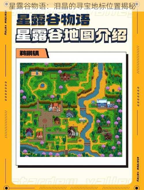 星露谷物语:泪晶的寻宝地标位置揭秘