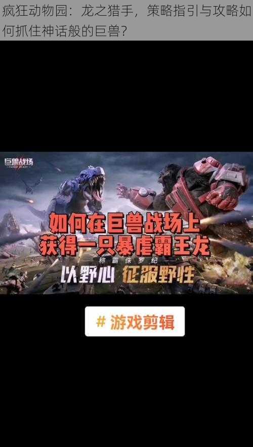 疯狂动物园:龙之猎手,策略指引与攻略如何抓住神话般的巨兽?
